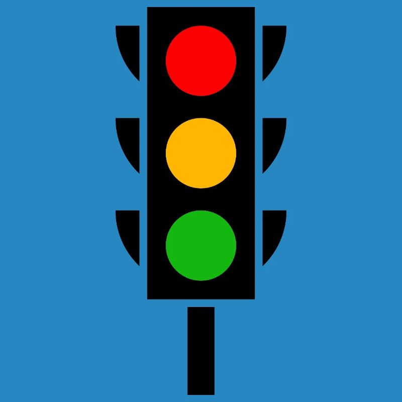 Traffic light driver's license driving school