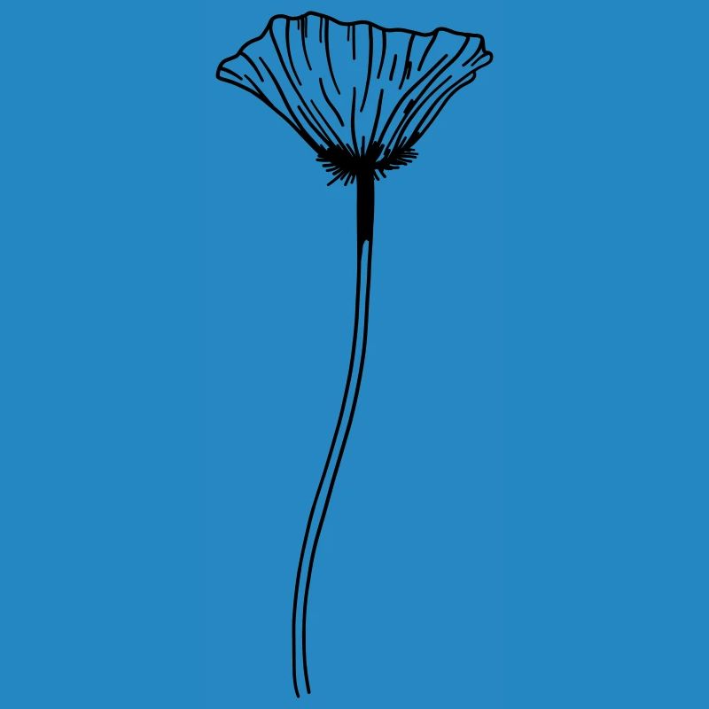 Mohn Blume