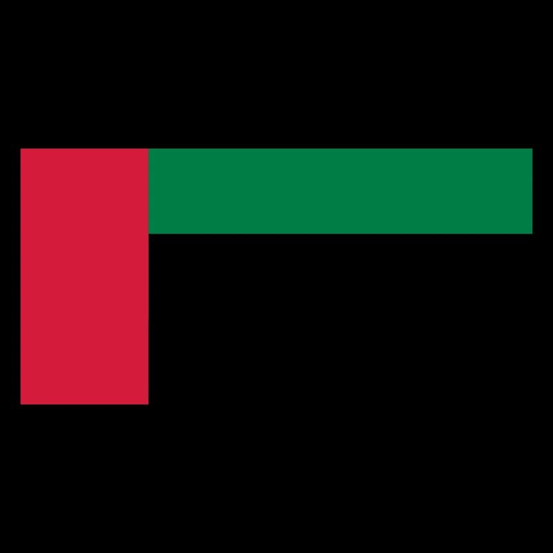 United Arab Emirates Flag (Émirats Arabes Unis)