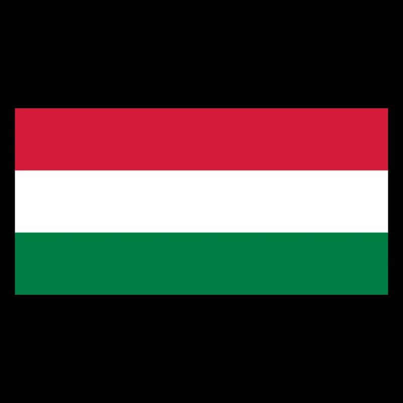 Flagge Ungarn / Drapeau Hongrie