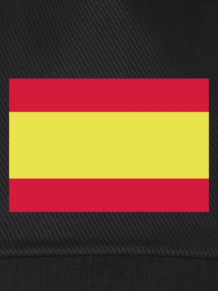 spain flag