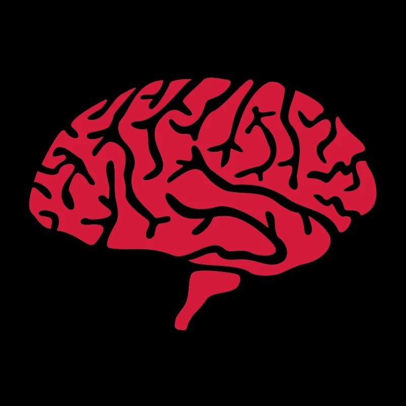 Brain