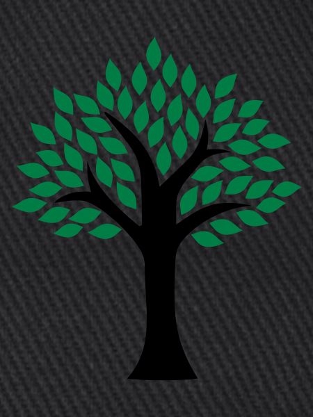 Baum
