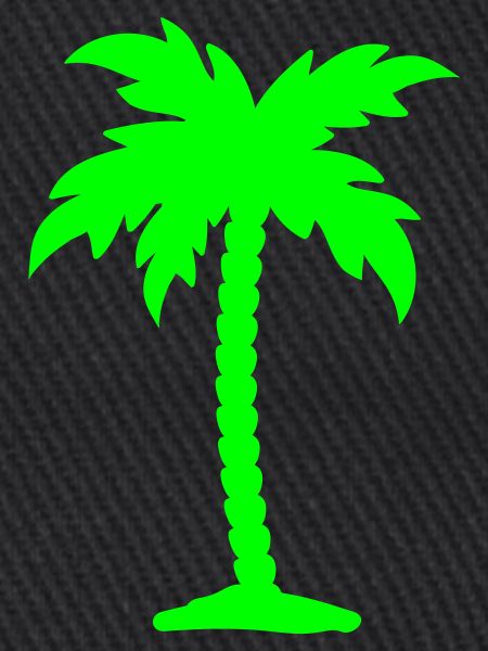 palm tree