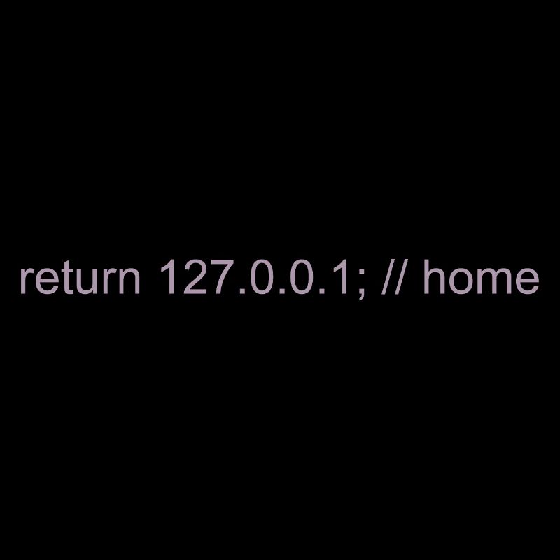 Programmer Nerd IT Joke Developer Home