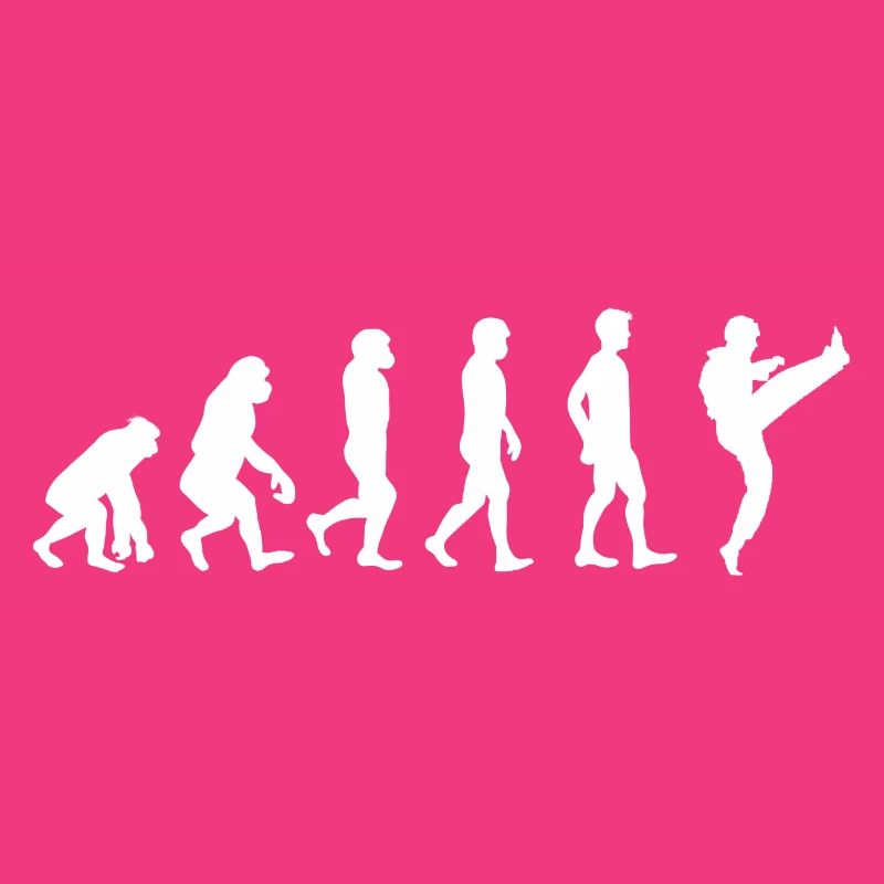Evolution Karate