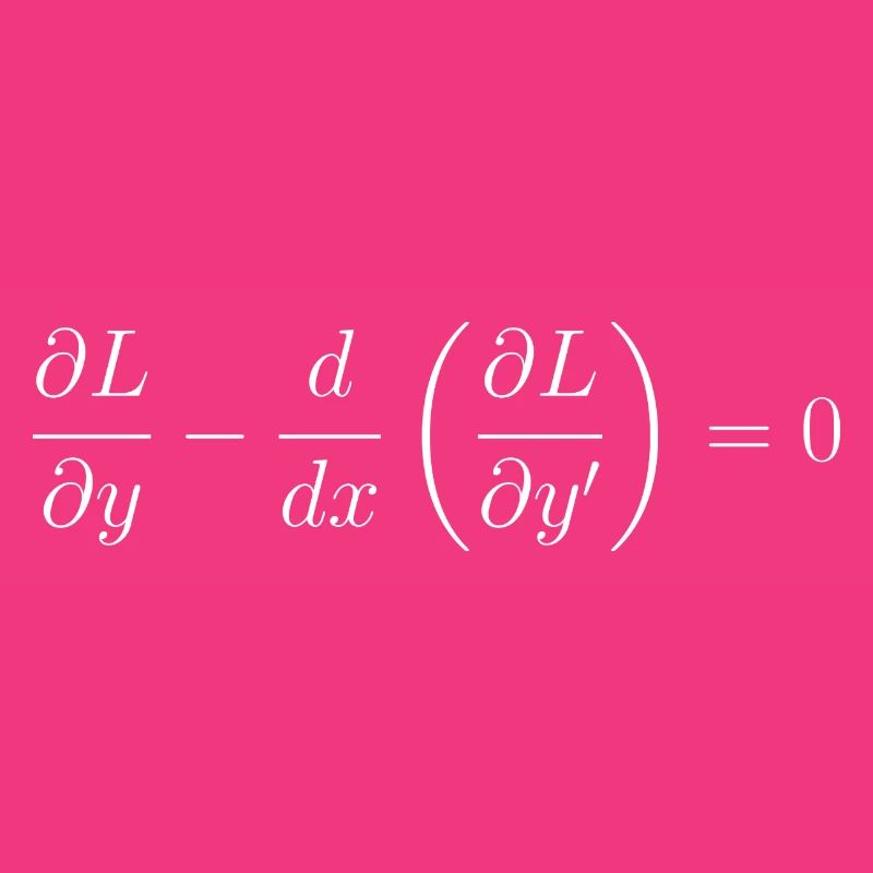 Euler-Lagrange-Gleichungsfundamentalphysik