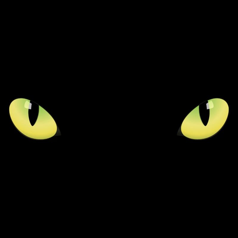 Panther inside