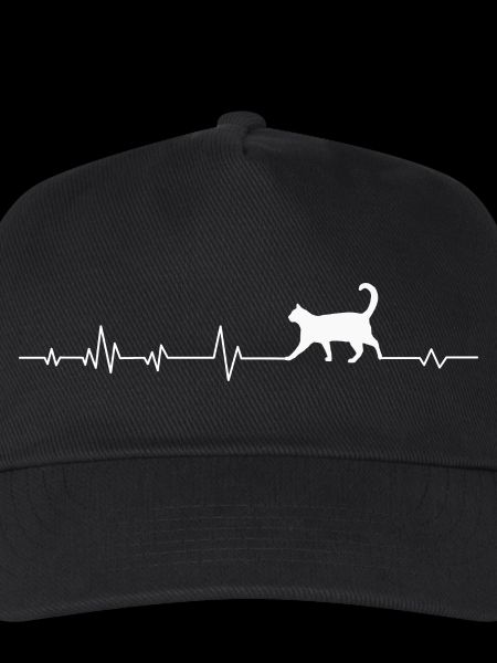 Katze Katzen