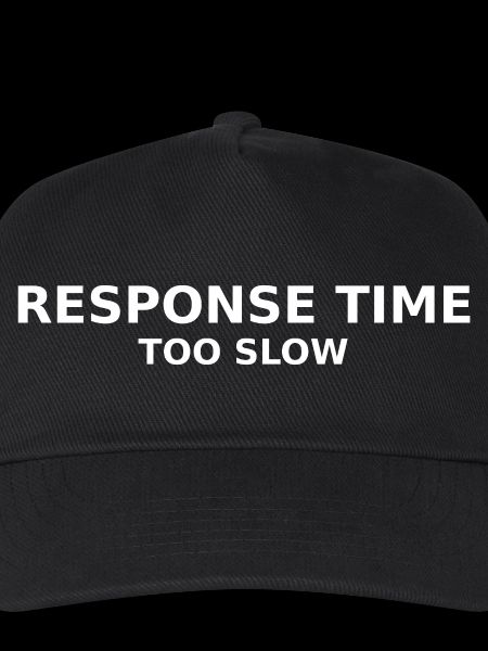 RESPONSE TIME TOO SLOW