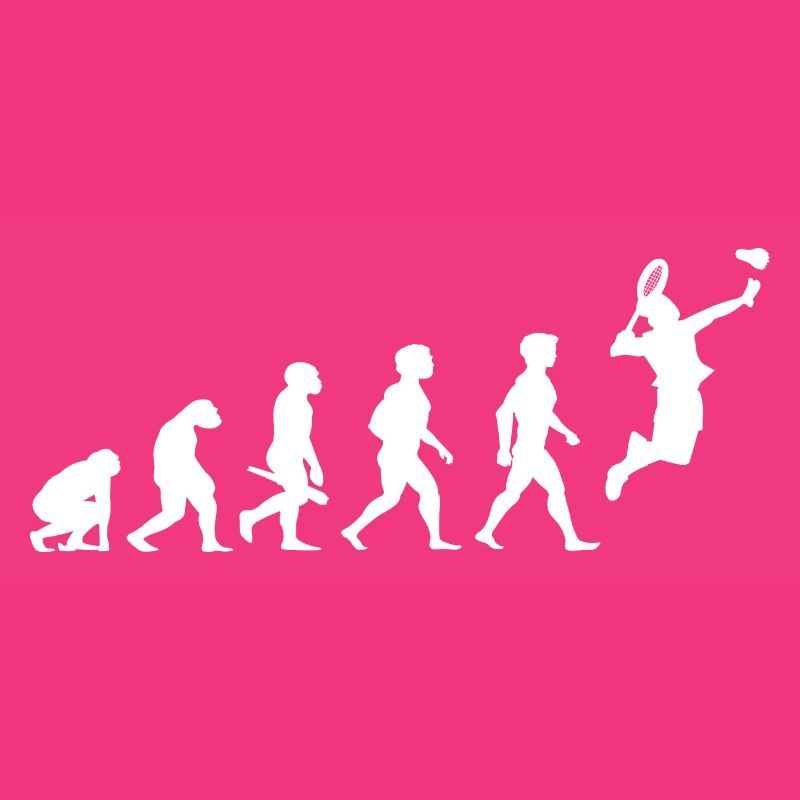 Evolution badminton shuttlecock shuttlecock player