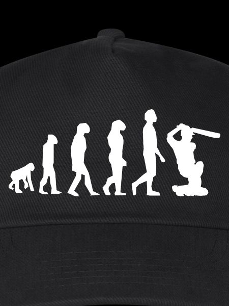 Evolution Cricket