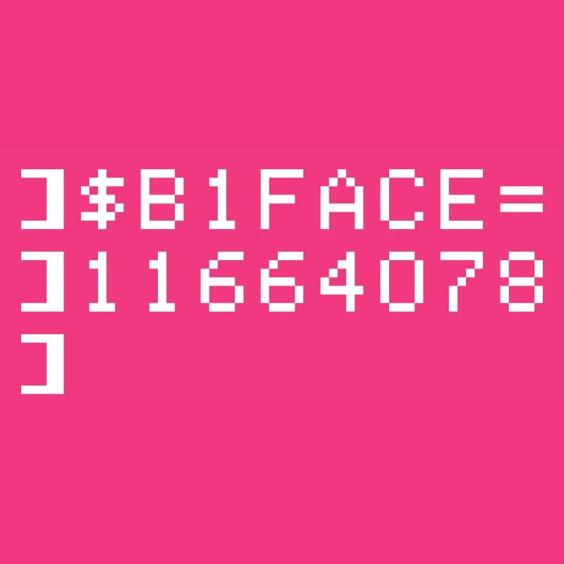 B1FACE Biface Code hexadécimal 8 bits Geek