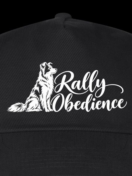 Rally Obedience – Border Collie