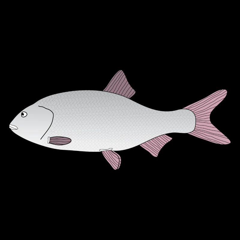 scarafaggio