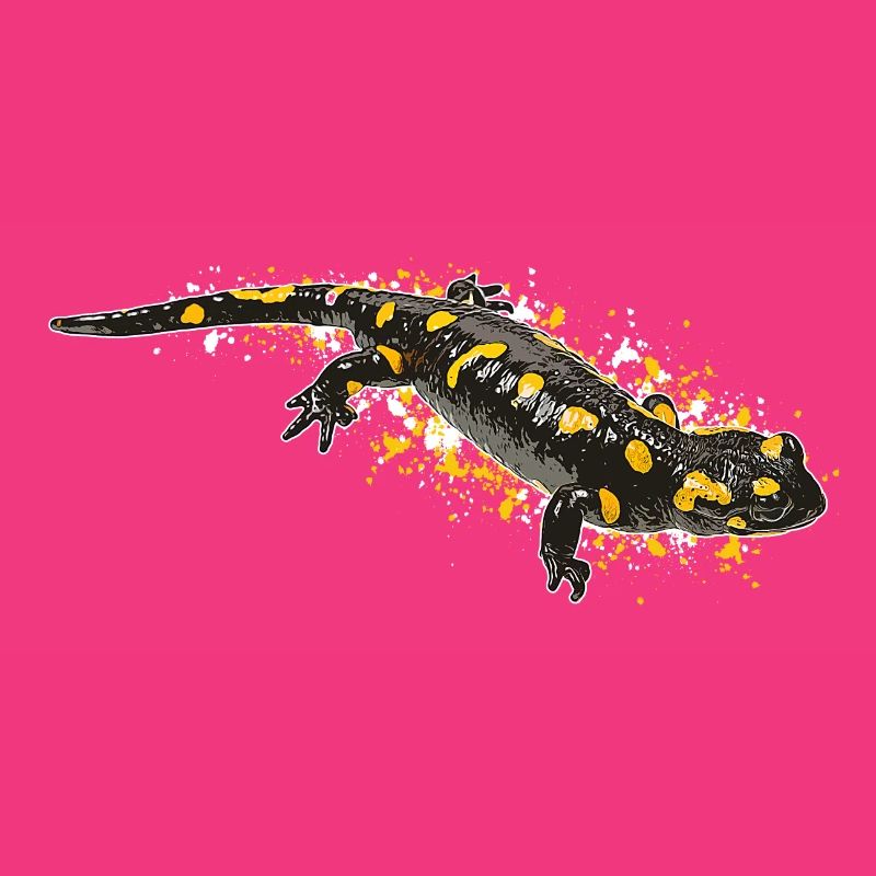 Fire Salamander Salamander