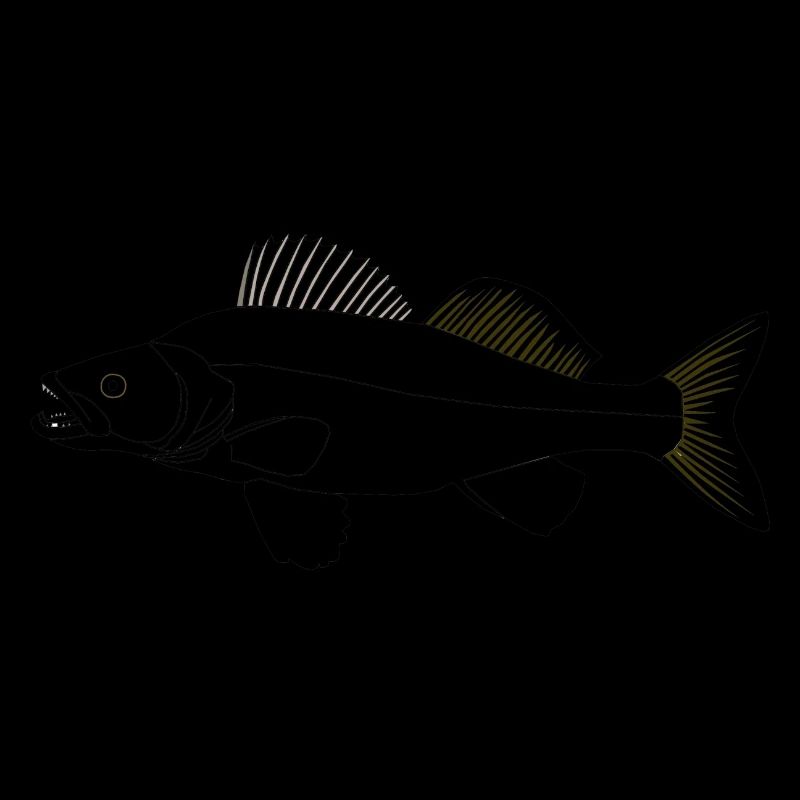 Target fish Zander