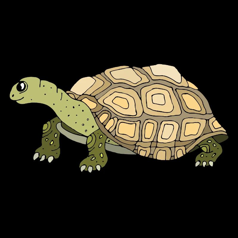 Schildkröte
