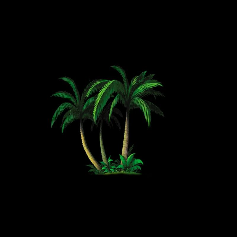 palms