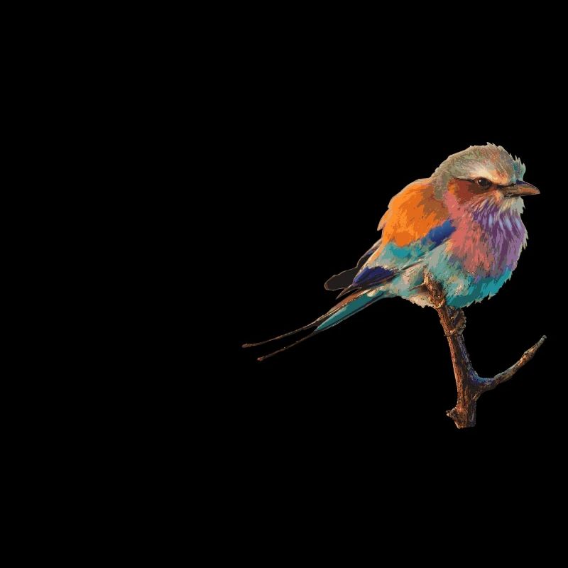 Vogel