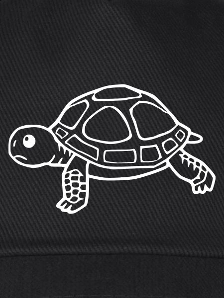 Turtle Turtles