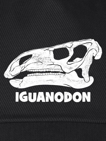 Iguanodon Fossil