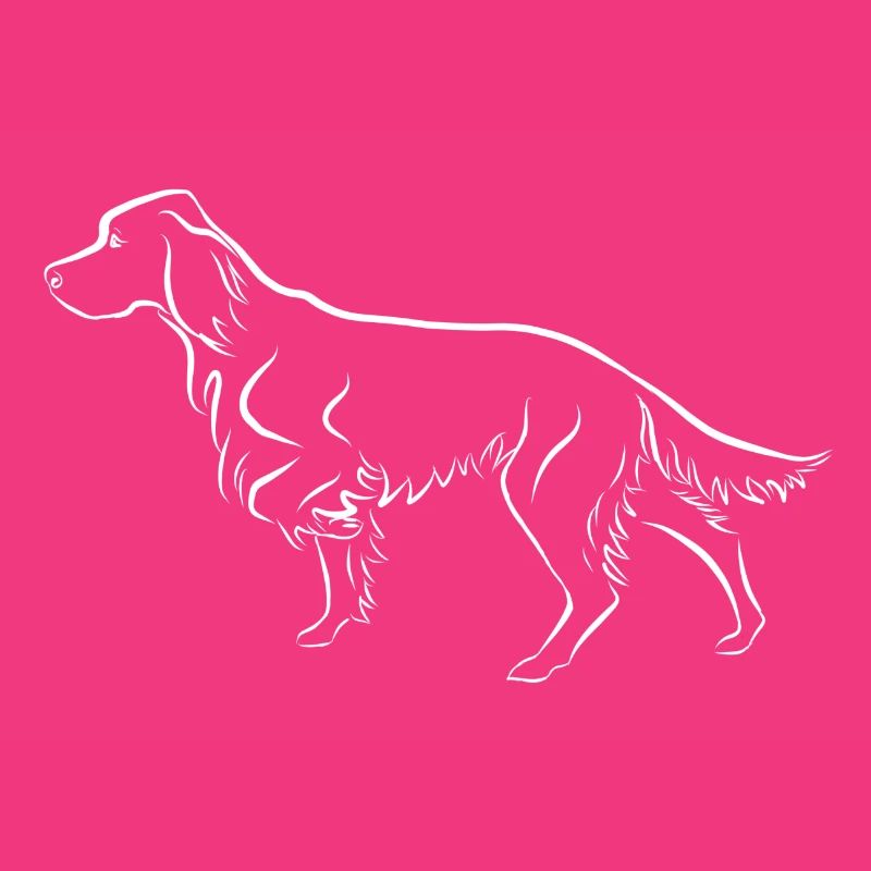 Setter ci-dessus