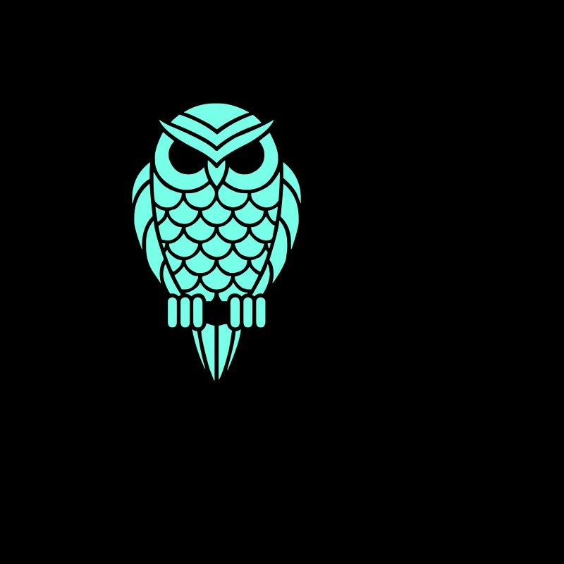 nightowl 01