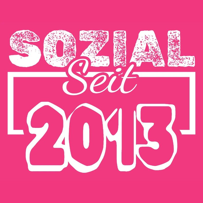 seit 2013