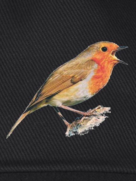 Rotkehlchen Vogel Robin