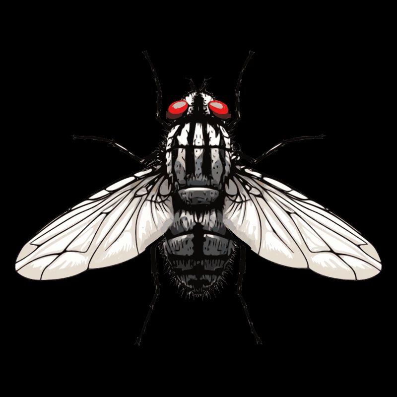 Fliege