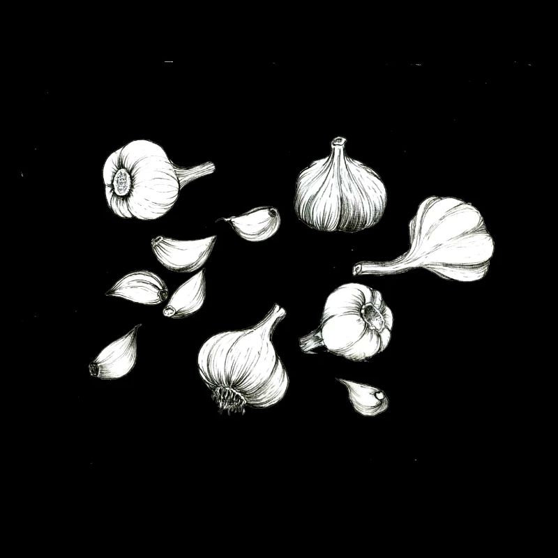 Knoblauch