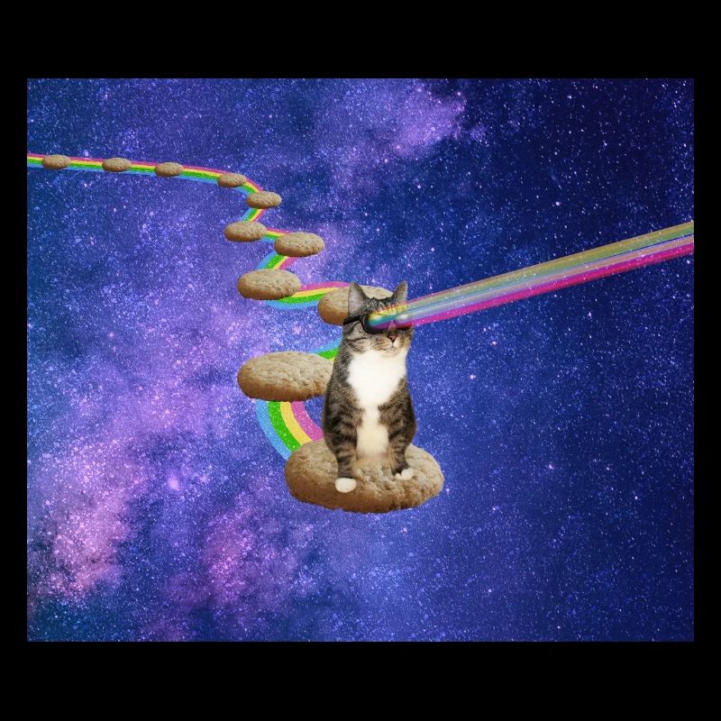 Cute tabby cat in outer space