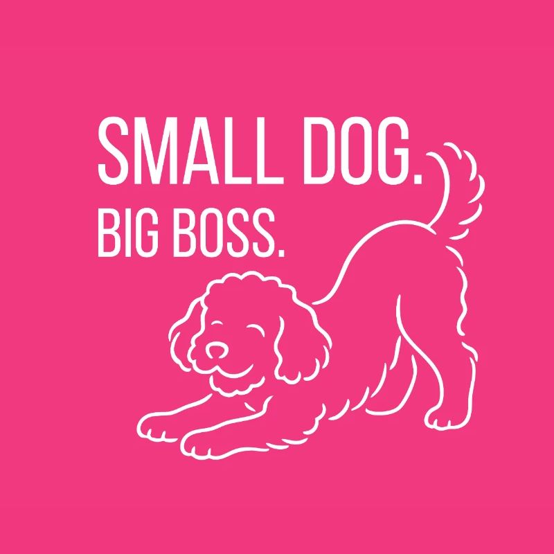 Zwergpudel, Malti-poo oder Königspudel 