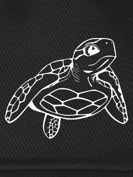 Turtle Turtles