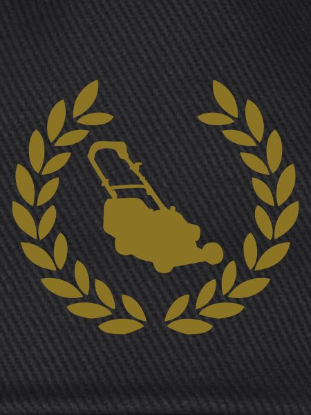 lown mower deluxe
