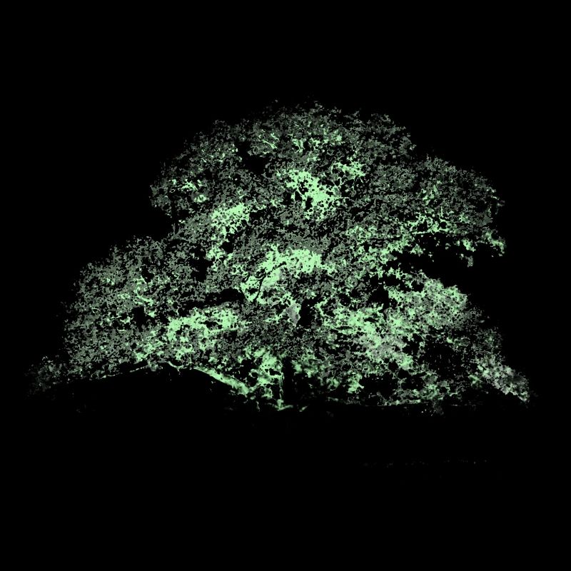 Oaktree