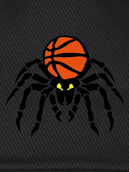 Basketball-spider spider Spinner-Flasche