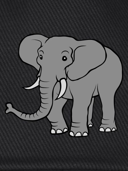 Large grey elephant