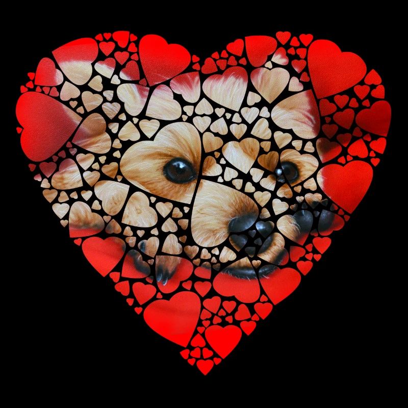 Yorkie