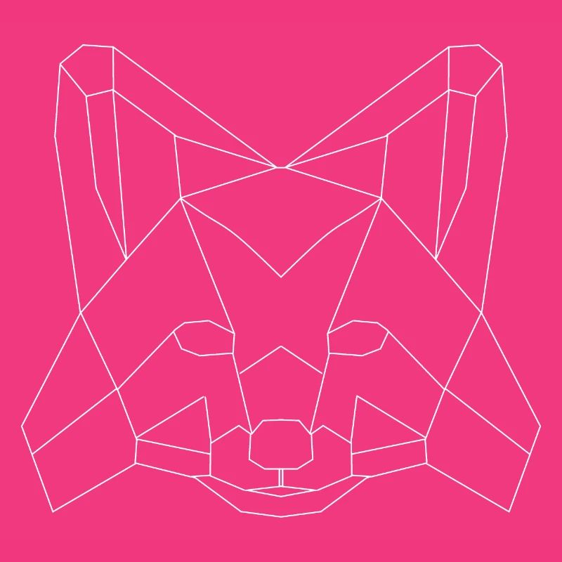 Fuchs polygons white