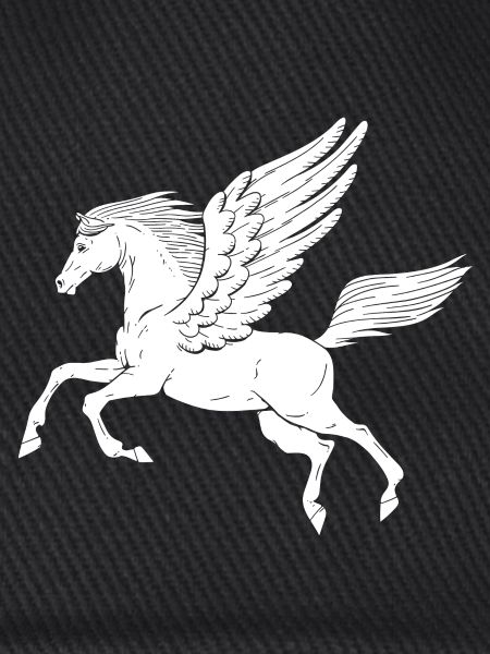 Pegasus