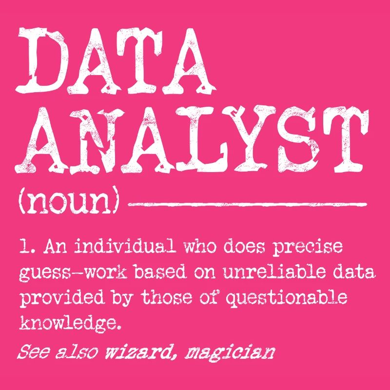 Data Analyst Meme Tee