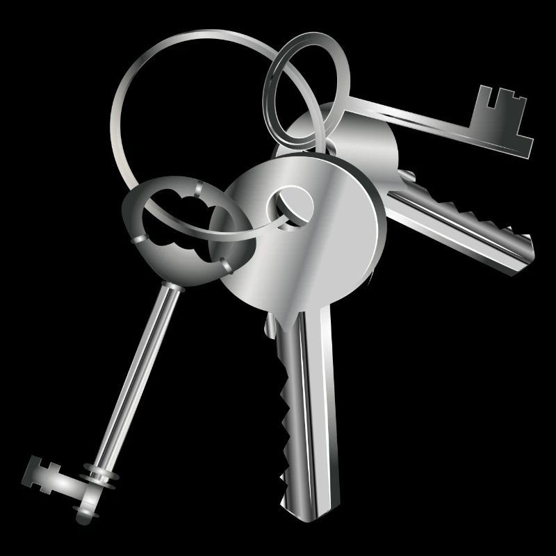 clés argentées sur un porte-clés