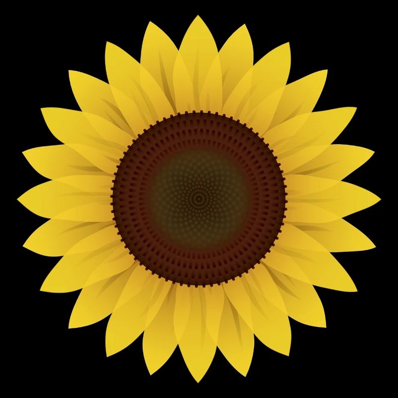 Sonnenblume Geschenk Idee