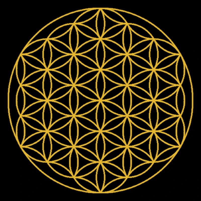 Cercles fleurs géométrie sacrée