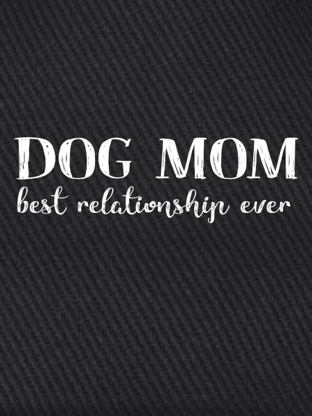 Hunde Hund