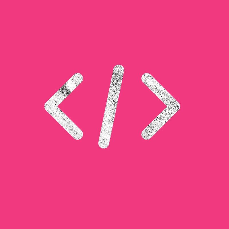 Script Programmer Programming