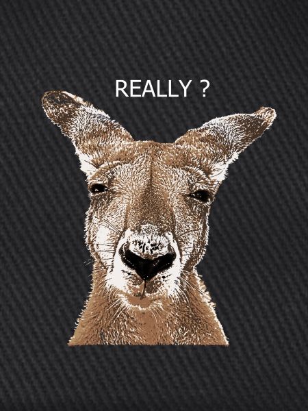 Kangaroo really?
