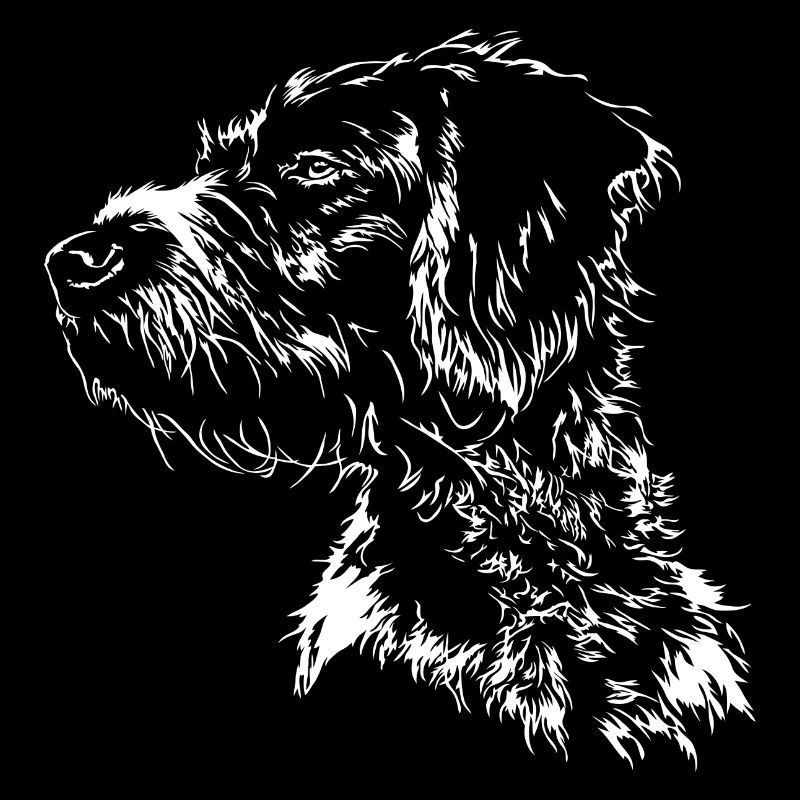 DEUTSCH DRAHTHAAR Wilsigns Jagdhund Jagdhunde